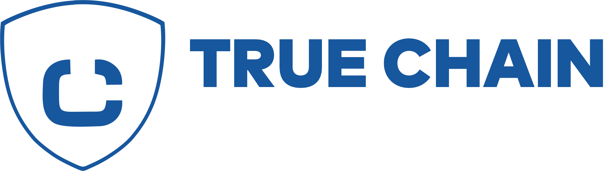 True Chain Infrastructure Company